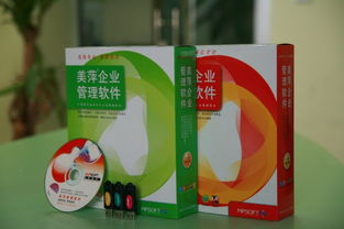 黃石餐飲管理軟件 數字化轉型下的餐飲業(yè)增效利器